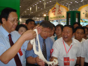 國家扶貧辦主任范曉劍、農(nóng)業(yè)部王副部長參觀學(xué)員實(shí)習(xí)作品.jpg